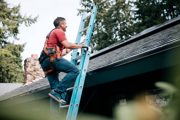 Best Skylight Installation and Repair  in Latta, OK